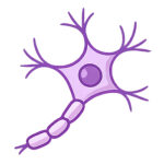 doenças-neurodegenerativas-renata-arraes